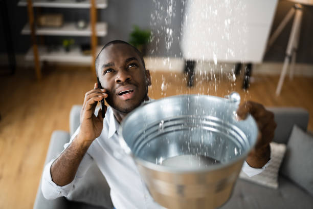 Best Carpet water damage restoration  in Tamarac, FL
