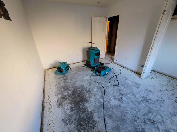 Best Flooded house restoration  in Tamarac, FL
