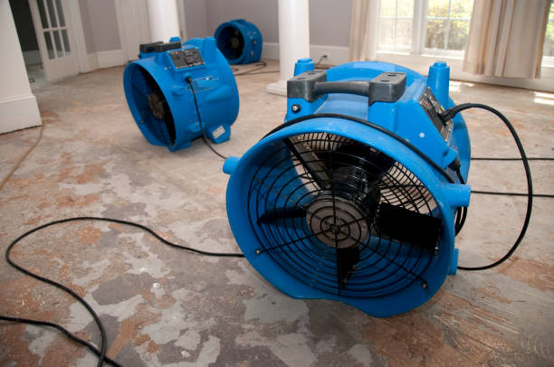 Best Local water damage restoration  in Tamarac, FL