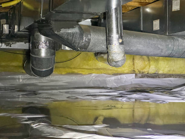 Best Sewage cleanup and water damage restoration  in Tamarac, FL