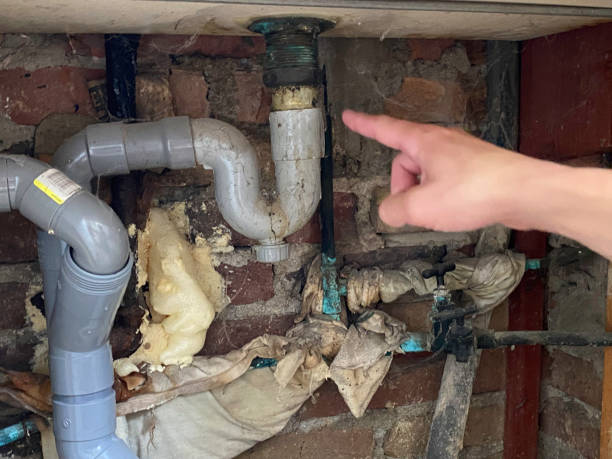 Best Fire Damage Restoration  in Tamarac, FL