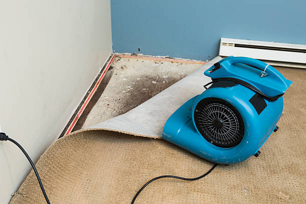 Best Flood damage cleanup  in Tamarac, FL